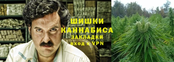 PSILOCYBIN Волосово