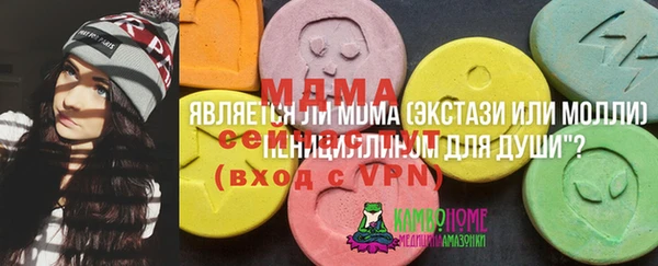мдпв Верея