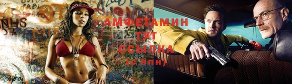 PSILOCYBIN Волосово