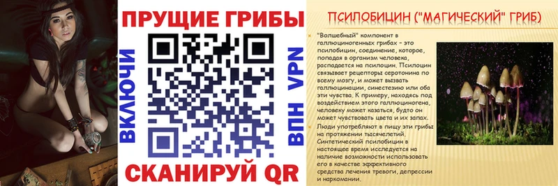 Галлюциногенные грибы Cubensis  Карабаш 